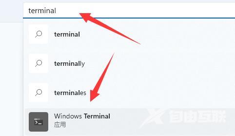 Win11提示找不到wt.exe文件怎么办