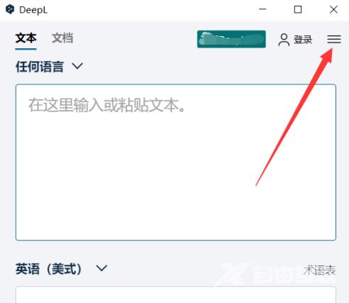 DeepL翻译器怎么查看使用教程