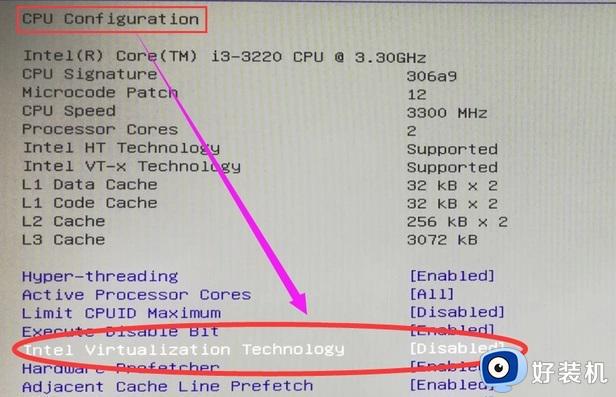 电脑开vt怎么开启_电脑怎么开启VT虚拟化