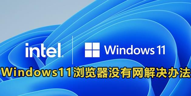 Windows11浏览器没有网解决办法