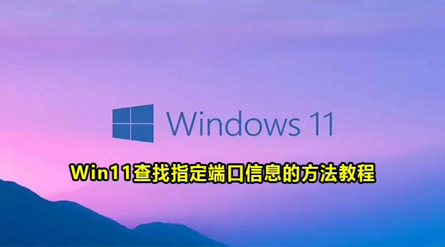 Win11查找指定端口信息的方法教程