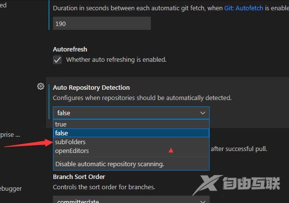VSCode怎么关闭自动存储库检测子文件夹