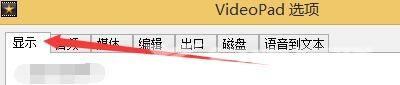 VideoPad如何设置显示自定义选项卡