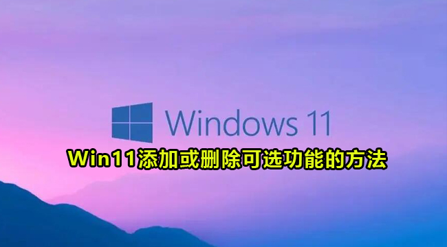 Win11添加或删除可选功能的方法