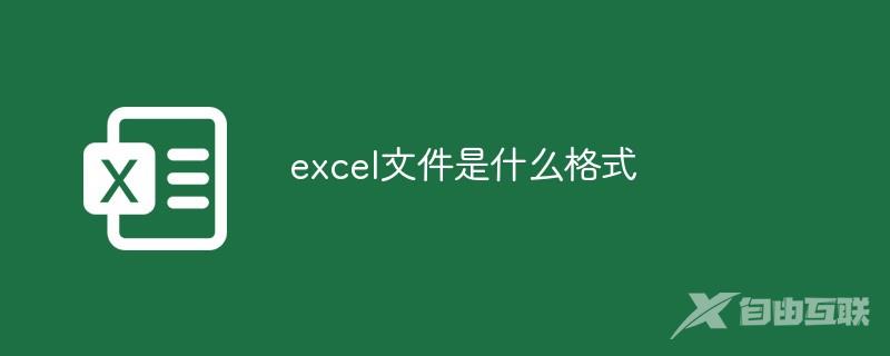 excel文件是什么格式