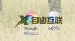 chorme更改皮肤设置教程_chrome怎么更换皮肤